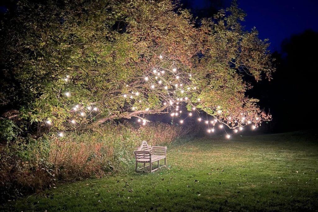 Beautifully Lit Bench